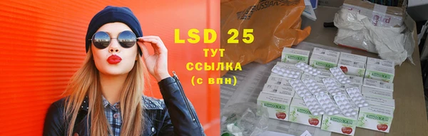 прущий лед Алзамай