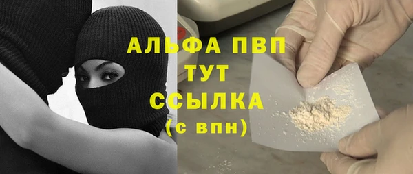 прущий лед Алзамай