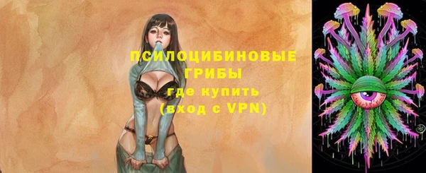 первитин Алексеевка